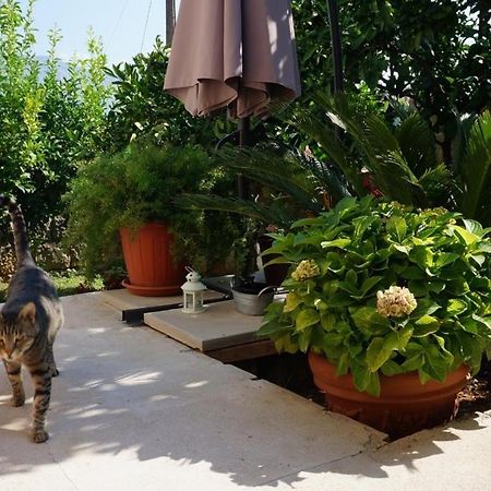 Kuca Cvjetkovic Hotell Gruda Exteriör bild