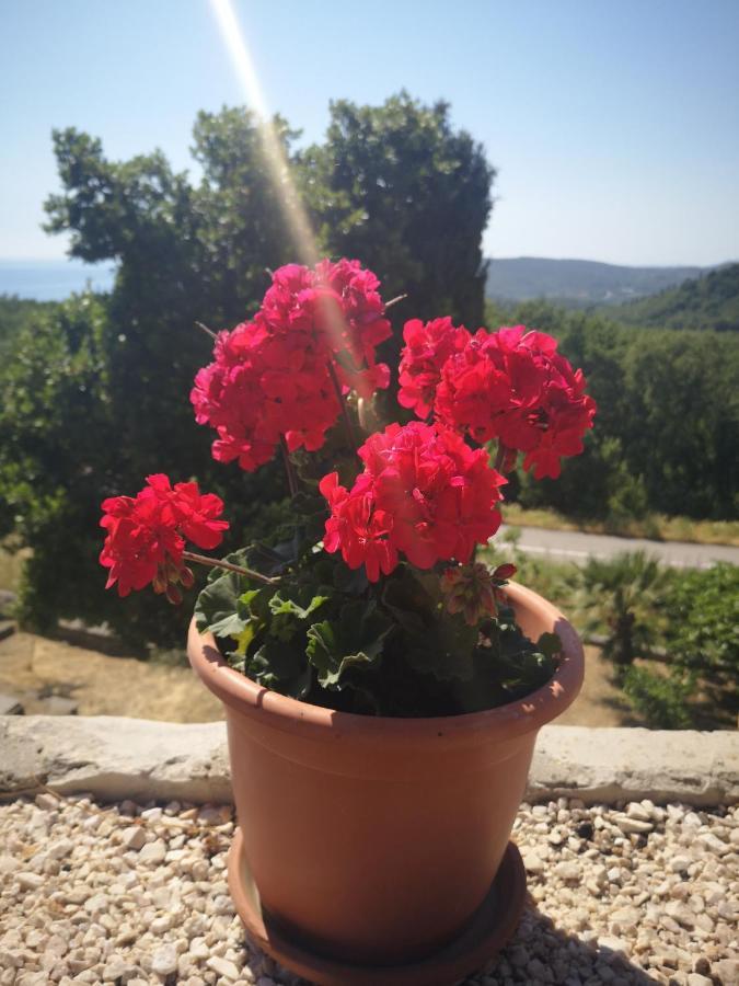 Kuca Cvjetkovic Hotell Gruda Exteriör bild