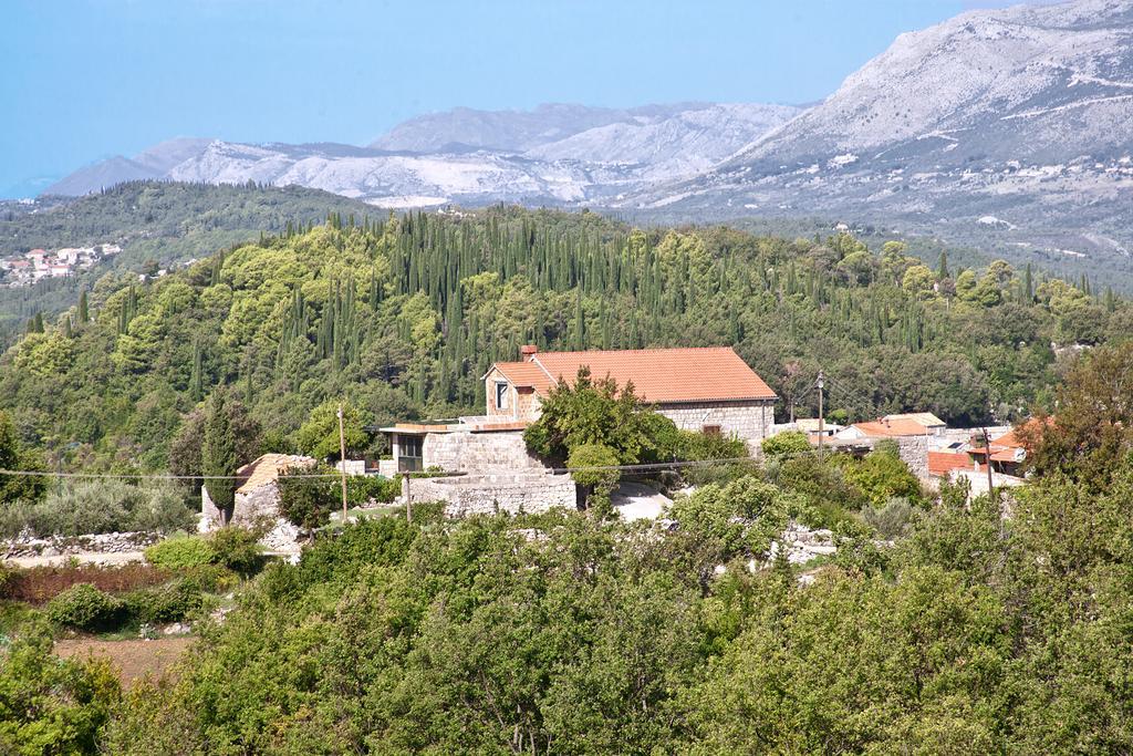 Kuca Cvjetkovic Hotell Gruda Exteriör bild
