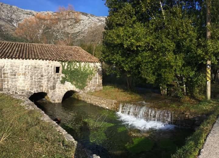 Kuca Cvjetkovic Hotell Gruda Exteriör bild
